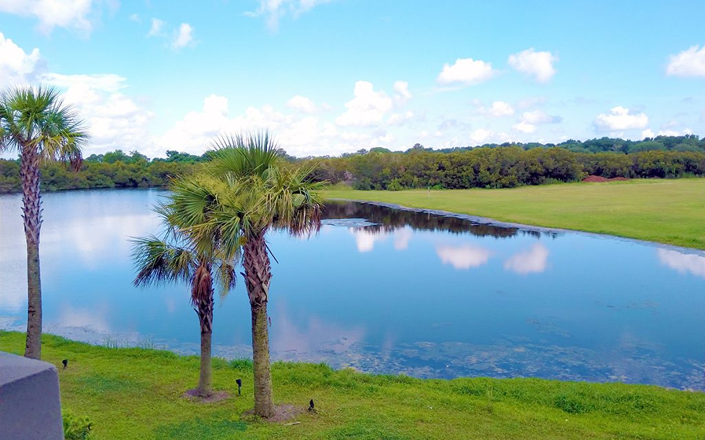 Kiawah Island